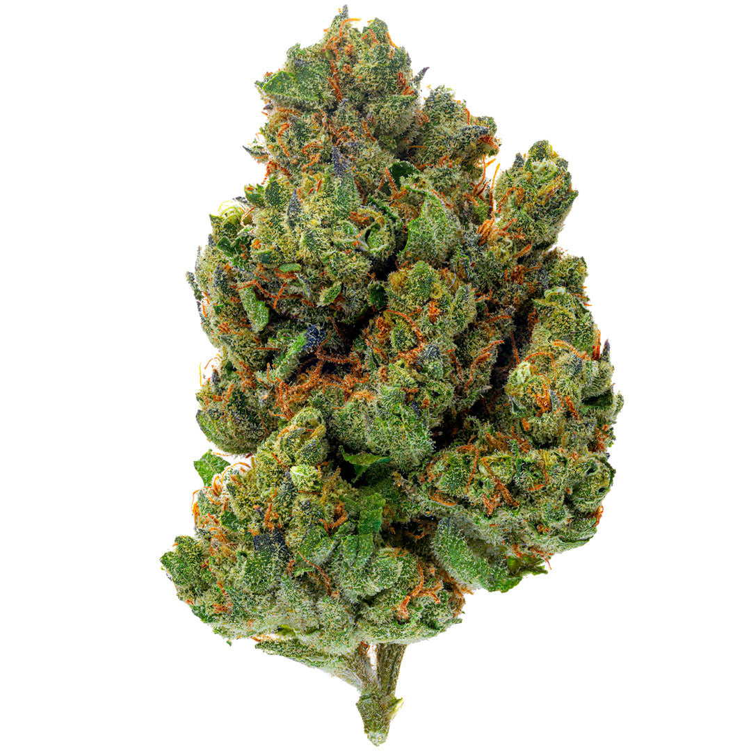 chocolate-diesel-4-grams-hybrid.jpg