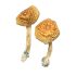 Golden Mammoth Magic Mushrooms